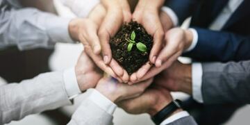Sustentabilidad\u002E (Fuente: Web)