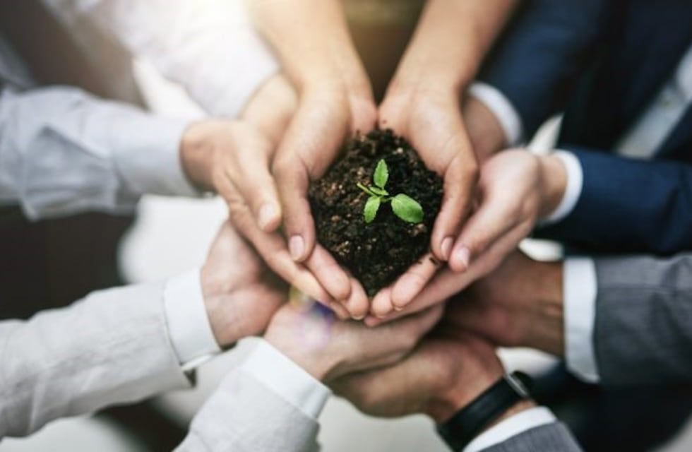 Millennials, los que más invierten en conciencia ambiental