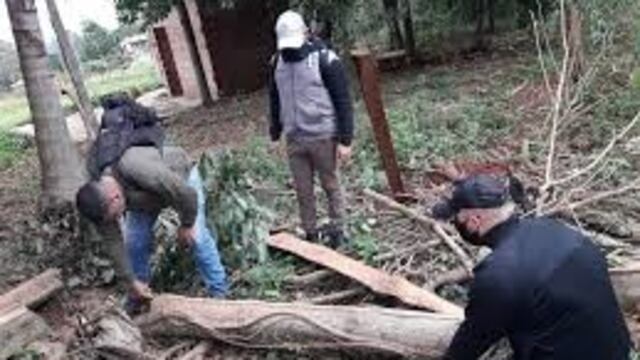 Apeo ilegal en el barrio 200 Hectáreas