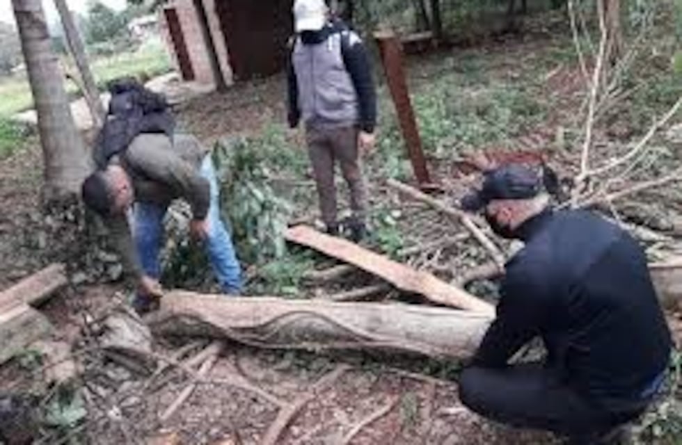 Apeo ilegal en el barrio 200 Hectáreas