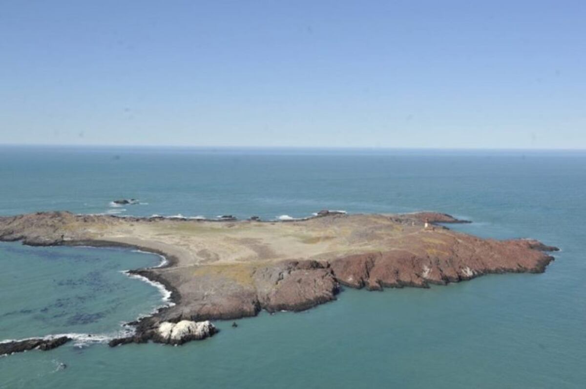 Puerto Deseado: realizarán muelles de atraque en Isla Pingüino