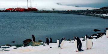 Áreas marítimas protegidas