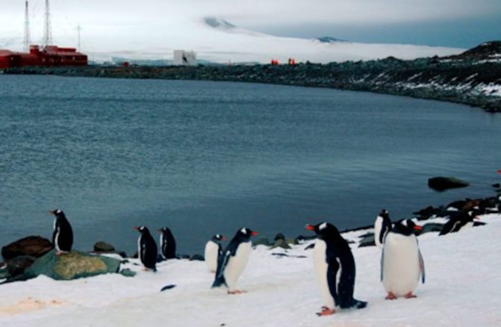 Argentina y Chile impulsan un proyecto binacional para crear un área marina protegida