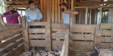 Corrales de los galpones de producción de cerdos con apoyo del IFAI de Misiones\u002E