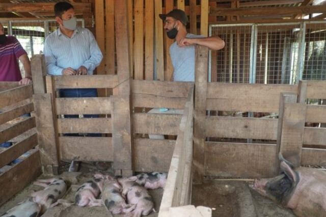 Corrales de los galpones de producción de cerdos con apoyo del IFAI de Misiones\u002E