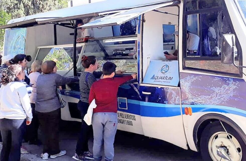 Productos de mar económicos, vuelve el colectivo del pescado