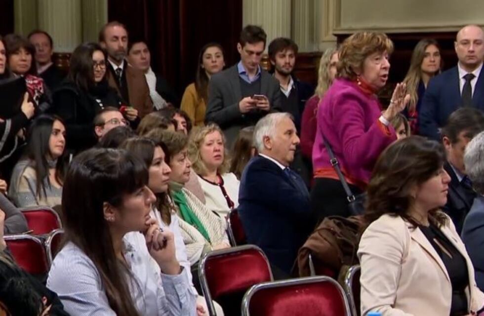 Senado: La médica que abandonó el debate en pleno discurso de Abel Albino