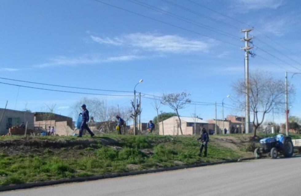 Encontraron fragmentos de un cráneo cerca de una cantera en Roca