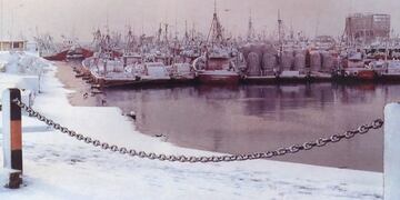 Nevada en Mar del Plata 1991 (La Capital)\u002E