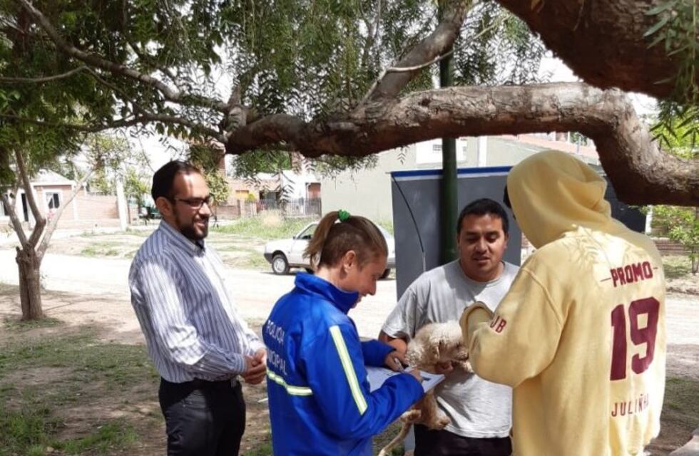 Vacunación antirrábica: mirá el cronograma en Colonia Caroya