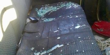 Agreden a agente municipal por traslado de equinos