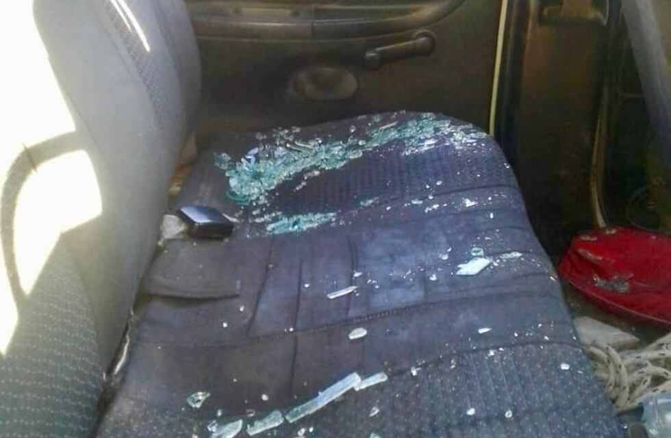 Agreden a agente de la Municipalidad de Corrientes por traslado de equinos