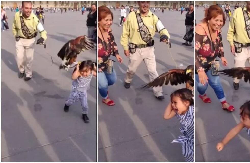 Video: una madre ríe a carcajadas mientras su hija corre aterrorizada por un águila