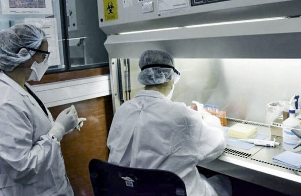 Este lunes se registraron 5 nuevos casos de coronavirus en Salta