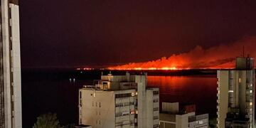 En la noche se multiplicaron las imágenes del fuego en las islas frente a rosario\u002E (Twitter)