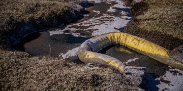 Se realizó un operativo de simulacro de derrame de petróleo