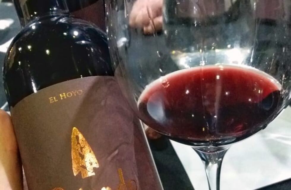 Los vinos de Chubut continúan posicionándose entre los mejores del país