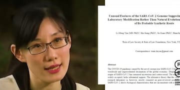 Es falso que una viróloga china haya probado que el coronavirus fue creado en un laboratorio