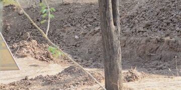 (Twitter: @BellaLack)