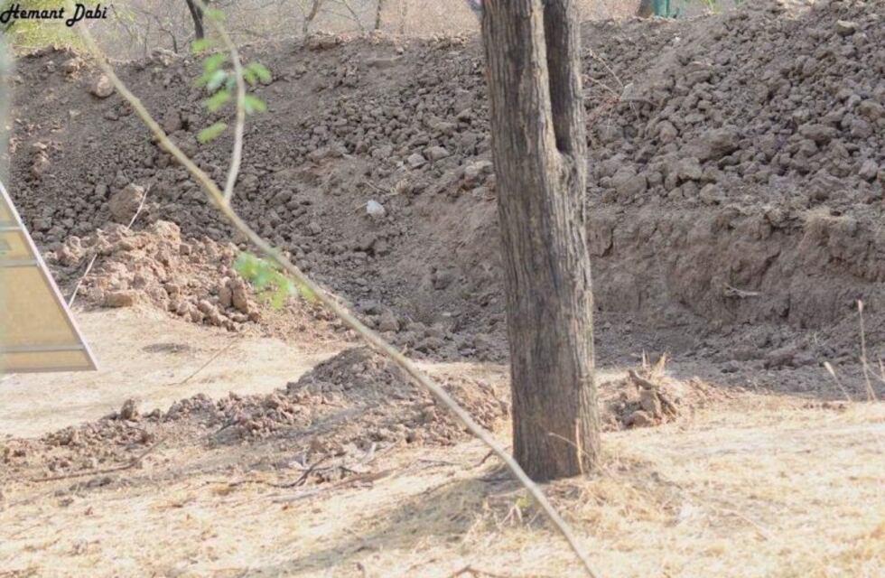 ¿Dónde está el leopardo?, el nuevo desafío que se hizo viral