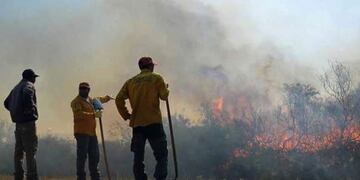 Se prendieron fuego dos campos de General Alvear, uno en San Rafael y por último se sumó la Reserva Llancanelo\u002E