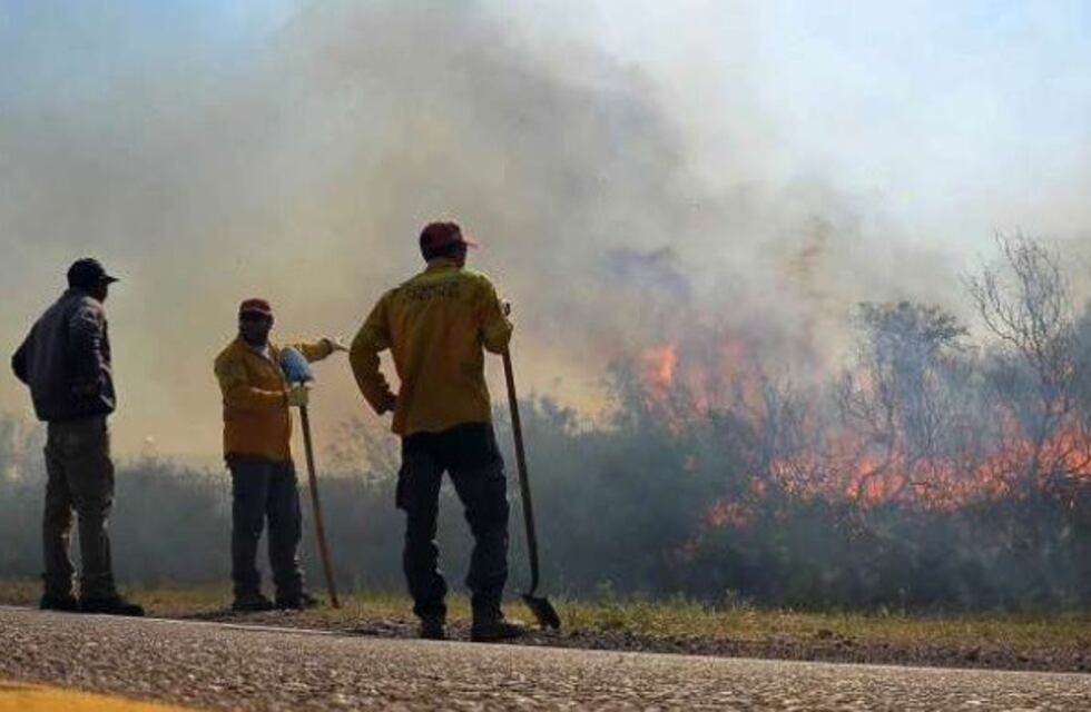 Hay nuevos focos de incendio que afectan la reserva Llancanelo