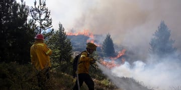 Brigadistas y bomberos trabajan para contener un incendio