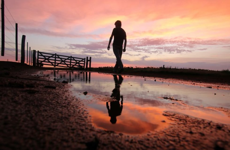 Carta abierta de una productora agropecuaria