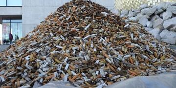 Marplatenses realizaron una \