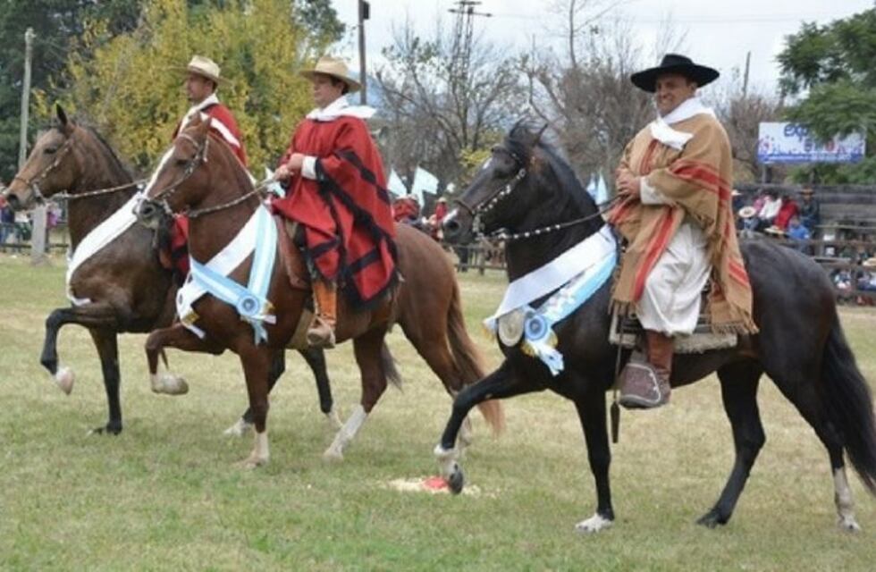 Se realizará el Concurso Nacional de Caballos Peruanos de Paso en Salta