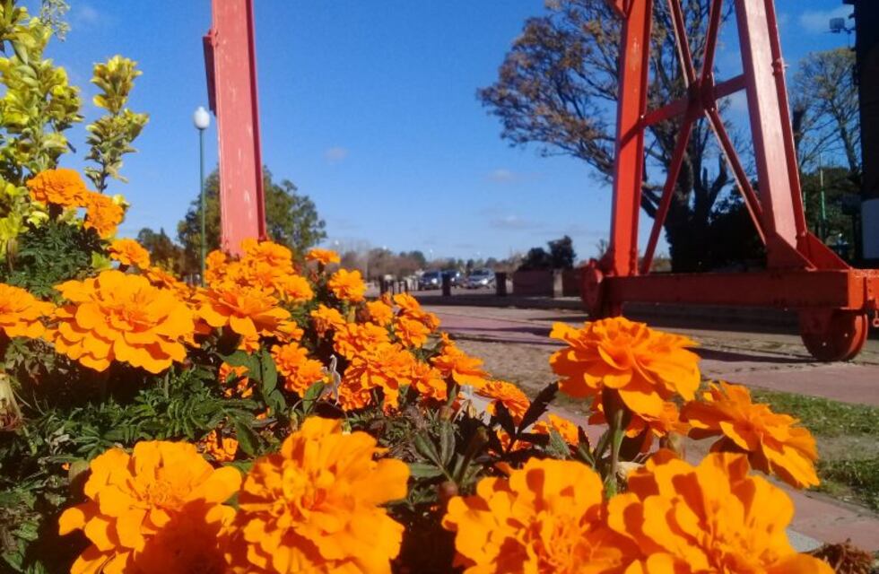 Fin de semana soleado en Gualeguaychú