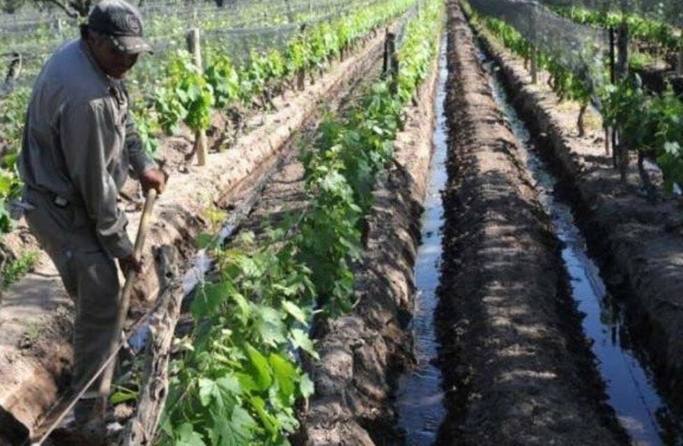 Seguro Agrícola: productores del Sur pagarán más por hectárea