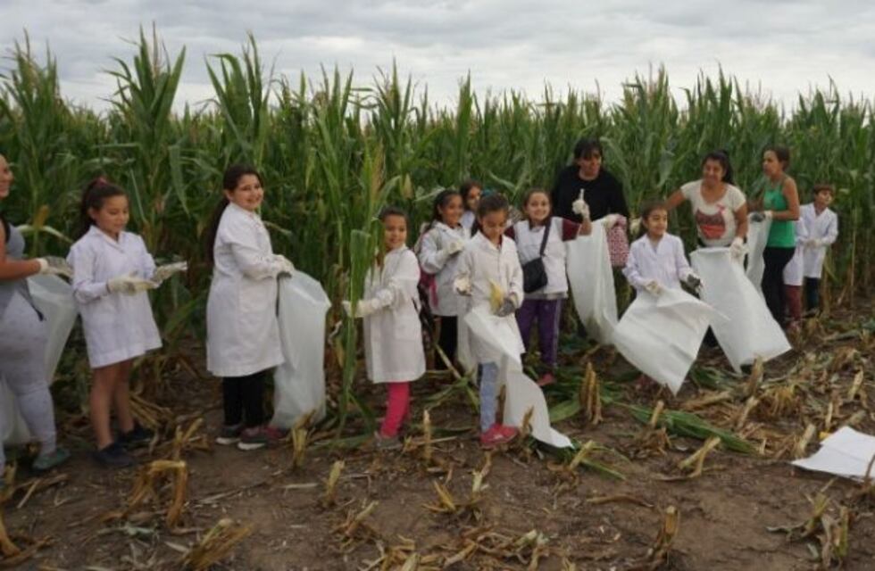 Récord para la "chocleada solidaria" en el Campo Escuela de la UNC