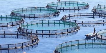 Acuicultura en argentina