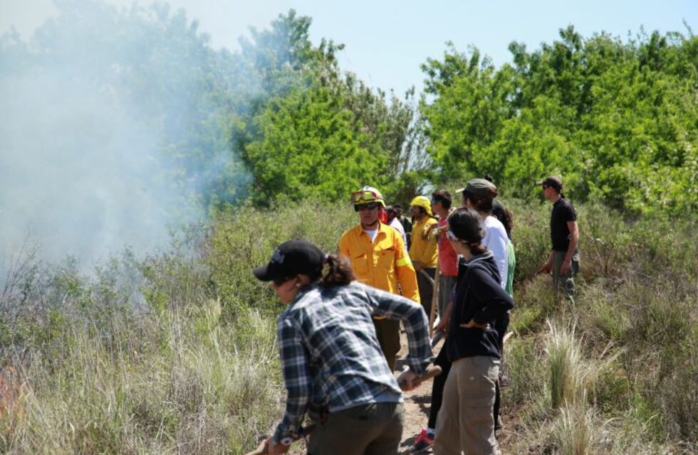 Capacitan en prevención y control de incendios forestales
