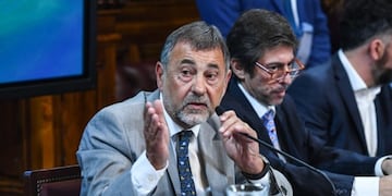 El senador Carlos Caserio apuntó a la oposición en medio de la disputa por Vicentin\u002E