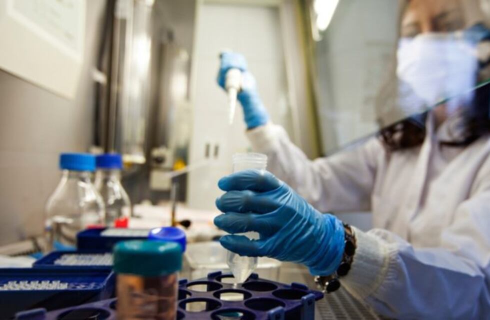 Descubren qué células promueven la progresión de un tumor agresivo de tiroides