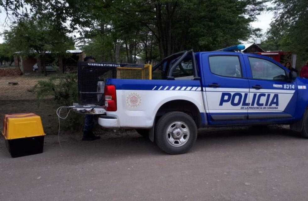 Valle de Anisacate: secuestraron los perros que mordieron a un vecino