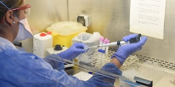 Los técnicos pueden procesar hasta 200 muestras en una jornada\u002E (Municipalidad de Rosario)