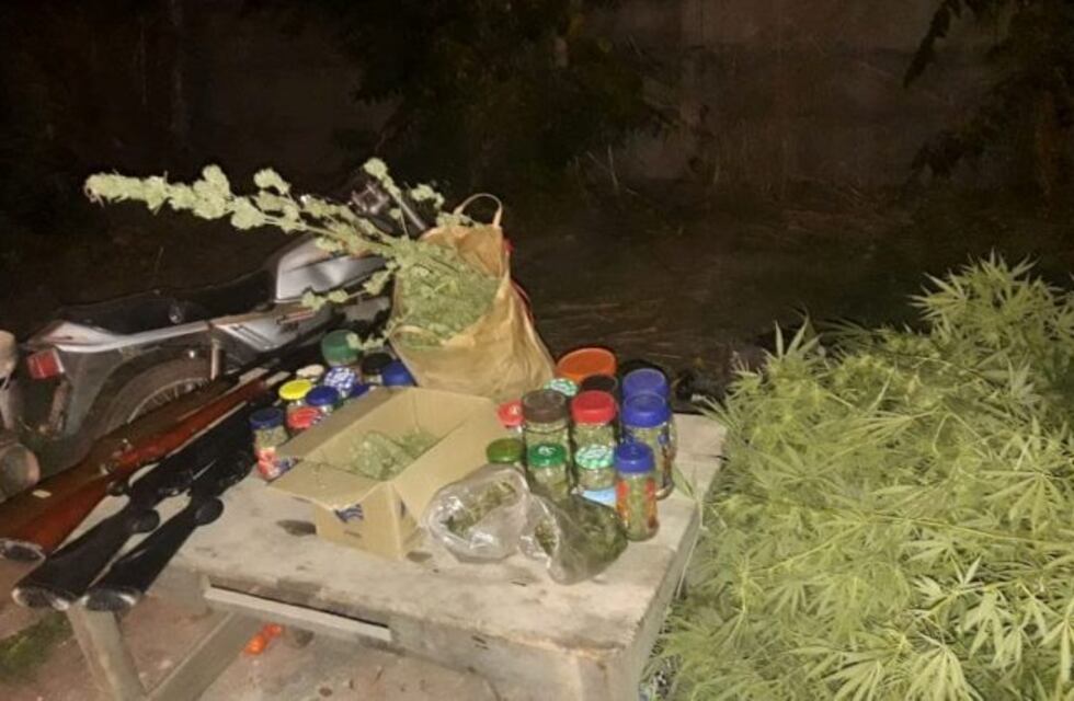 Punta Alta: recibieron una llamada por robo y encontraron marihuana