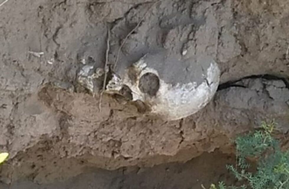 Macabro: escavaba para hacer un pozo séptico y encontró un cráneo humano