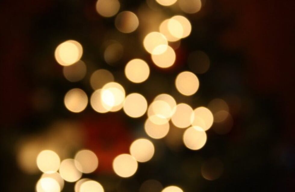 Dieron luz al árbol de navidad