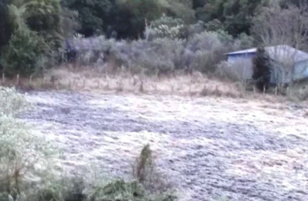 Debido a la helada, San Pedro amaneció teñida de blanco