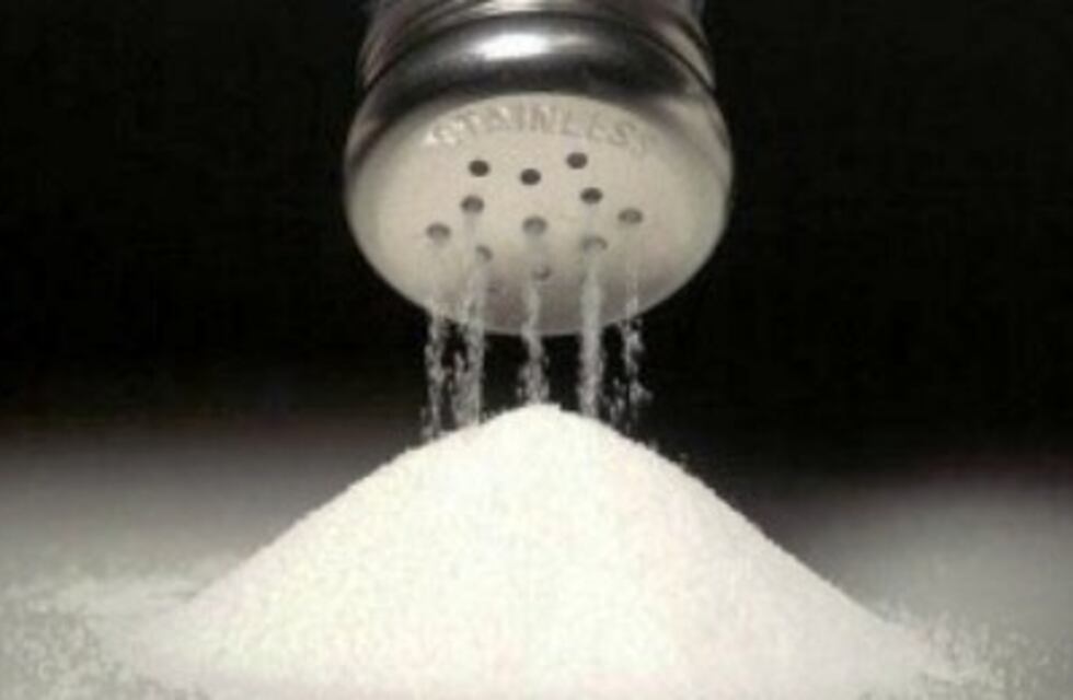 La oposición presentó un proyecto de concientización de consumo de sodio