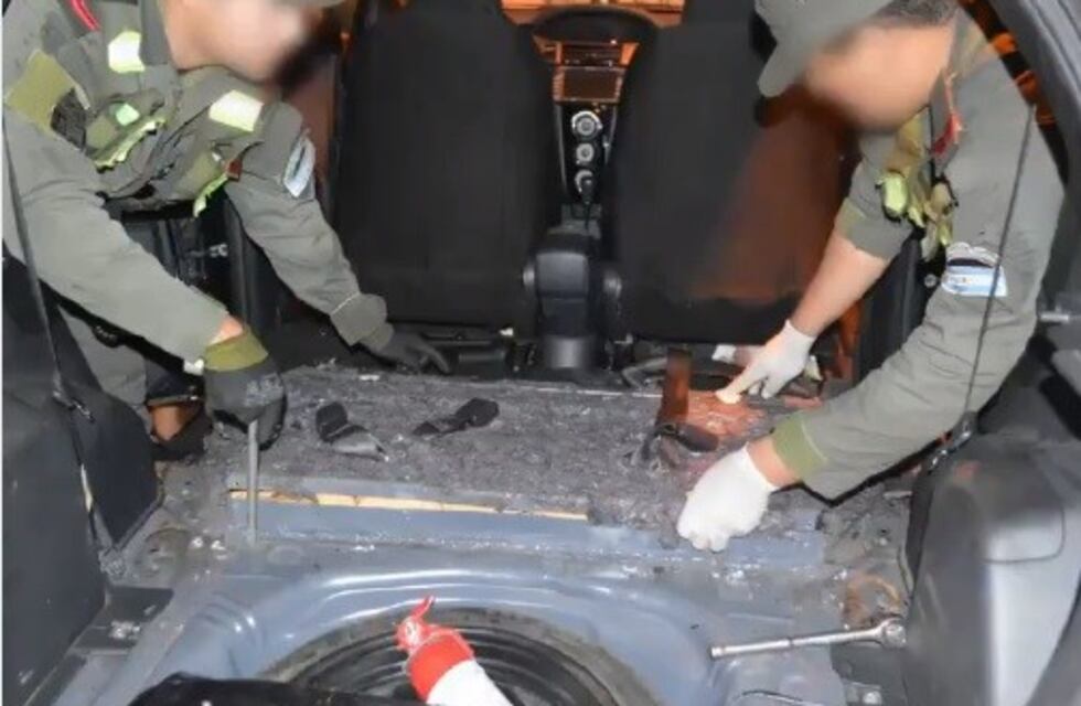 Gendarmería incautó 31 mil kilos de marihuana en tres años en Corrientes