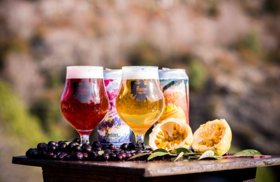 Brew Republic y Peñón del Águila, dos rincones cerveceros que tenés que conocer