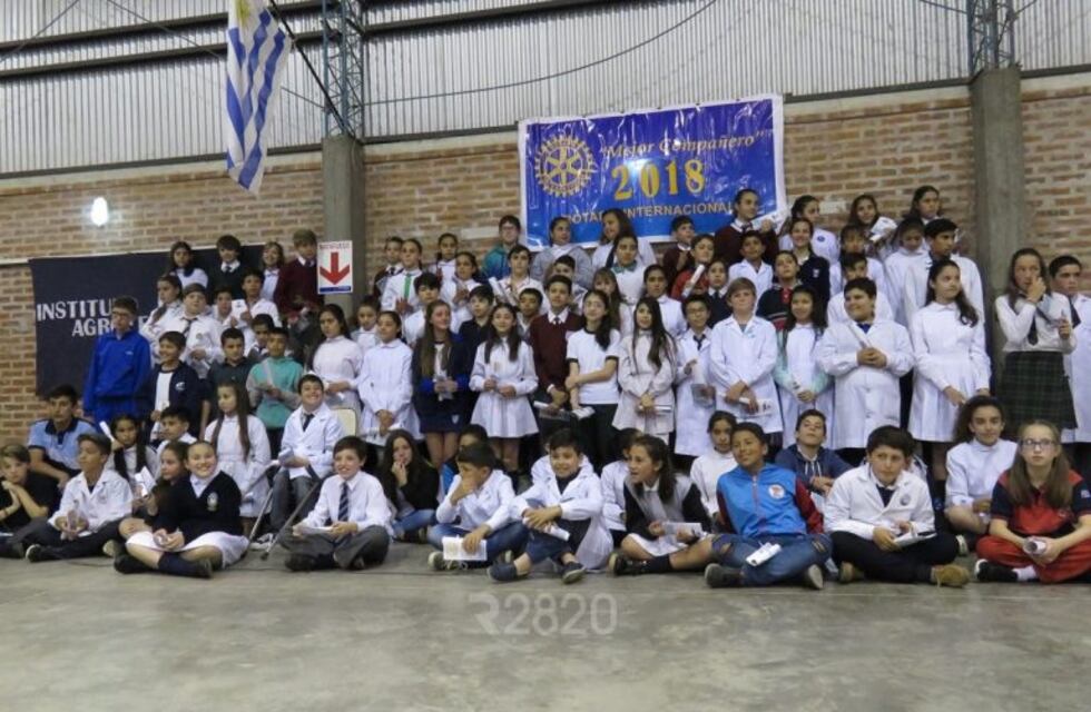 Se conocieron los mejores compañeros del año