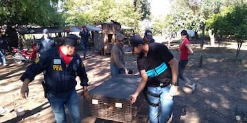 Foto: Policía Federal Argentina\u002E