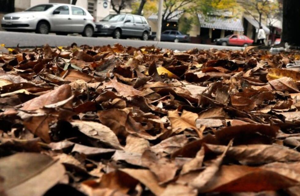 El domingo asoma con algunas nubes y luego se espera más frío en Rosario