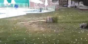 Fuerte tormenta de granizo en el valle de Uco\u002E